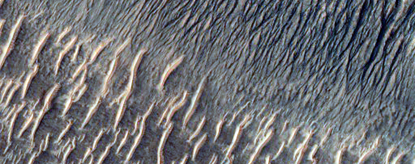Re-Image Gullies on Equator-Facing Mesa Slope for Change Detection