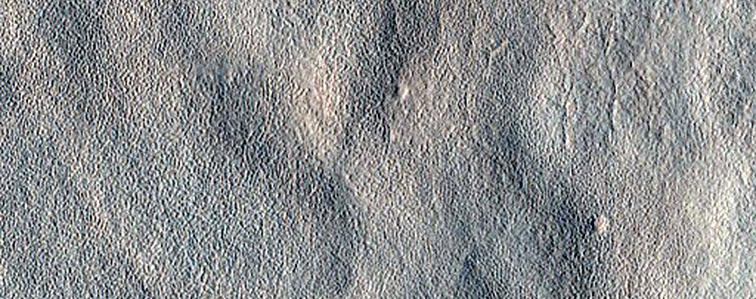 Scallop and Mounds