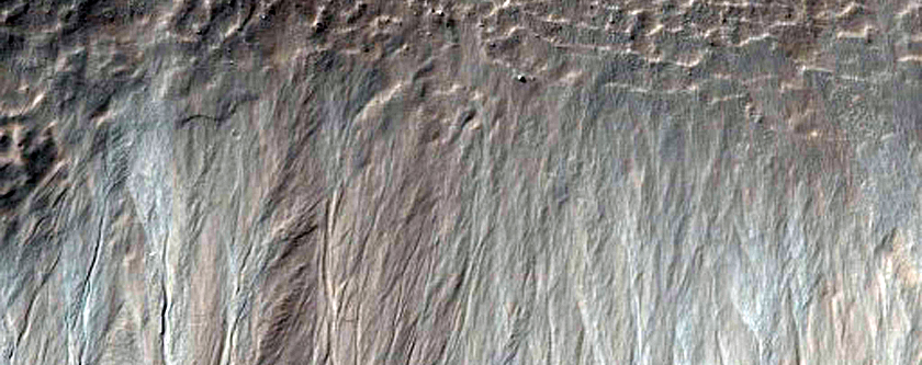 Volatiles and Gullies