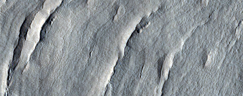 Layers in Crater in Protonilus Mensae