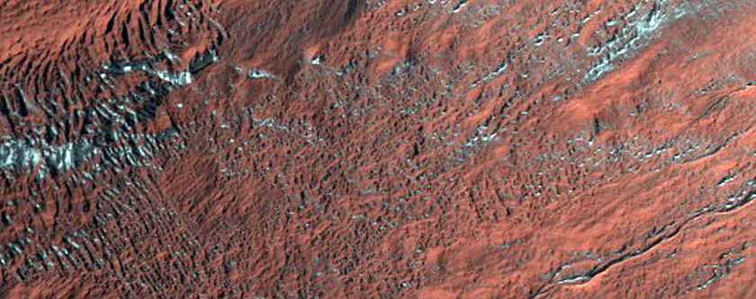 Gully Frost Monitoring