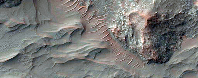 Fan of Overlapping Curvilinear Ridges in Saheki Crater