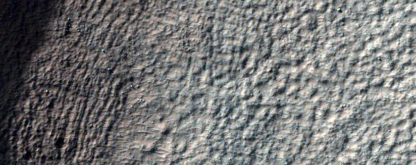Gully Monitoring