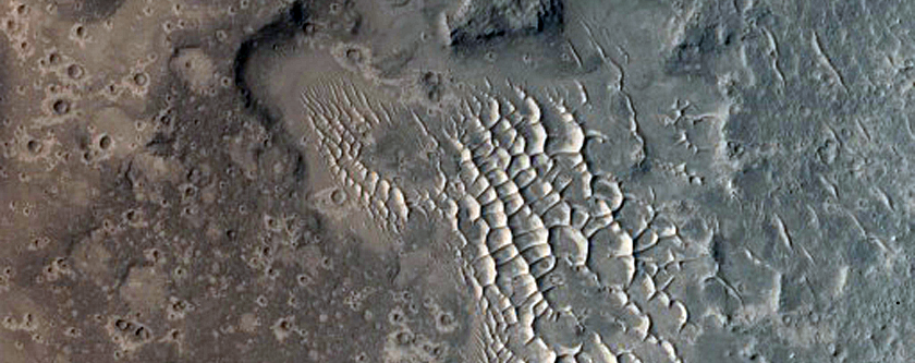 Well-Preserved Impact Crater in Western Elysium Planitia
