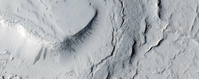 Crater Filled with Lava in Amazonis Planitia