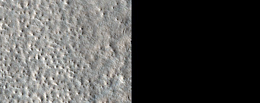 Pitted and Variously-Textured Utopia Planitia
