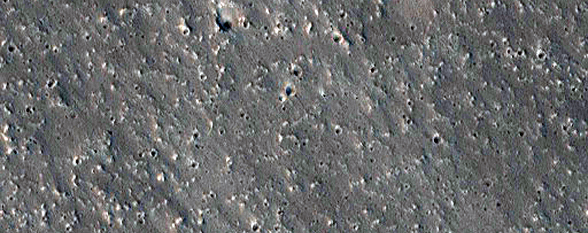 Lycus Sulci