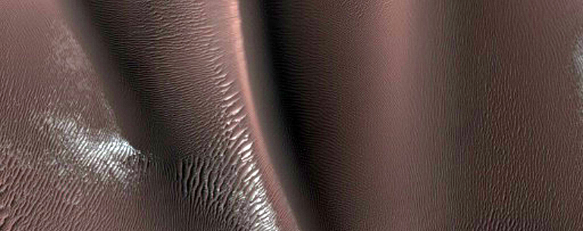 Dune Gully Monitoring
