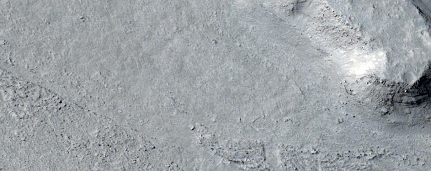Flows and Craters in Elysium Planitia
