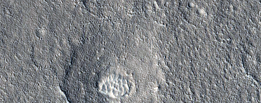Pits in Amazonis Planitia