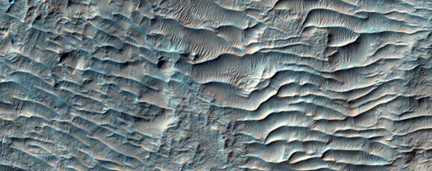 Looking for Hale Crater Ejecta Boundary