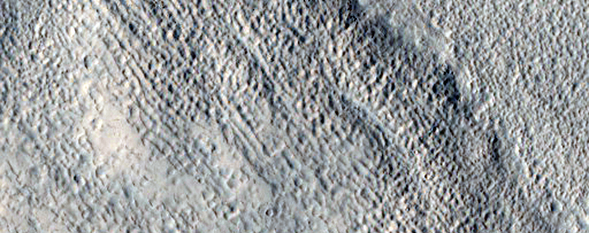 Flow Boundary in Elysium Planitia
