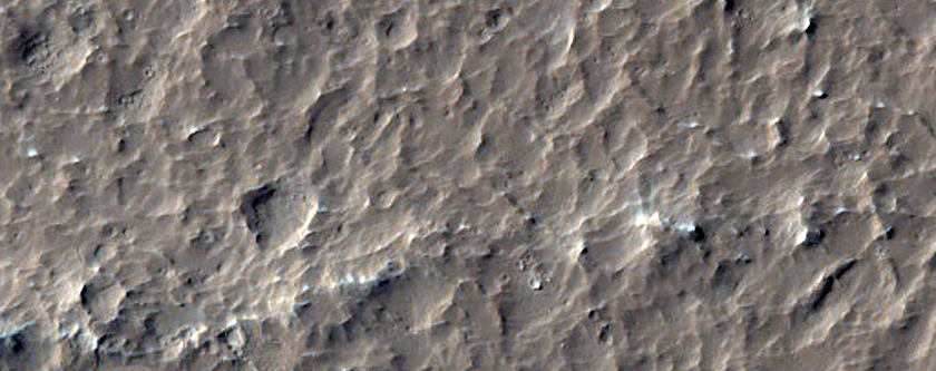 Lucus Planum

