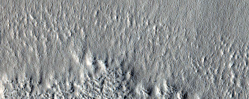 Terrain in Arcadia Planitia
