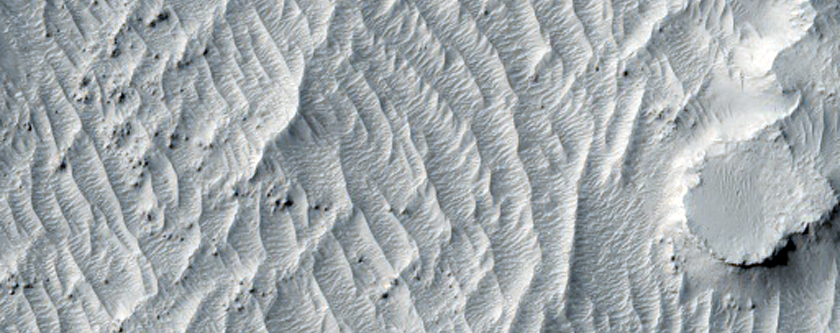 Terrain in Southern Elysium Planitia
