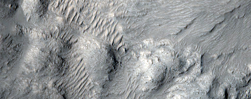Terrain in Western Elysium Planitia

