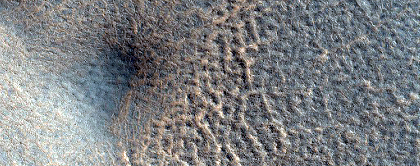 Terrain in Northern Plains
