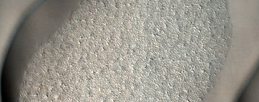 Dunes on Cement Substrate in Summer
