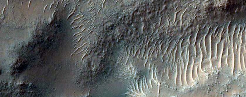 Gully Monitoring
