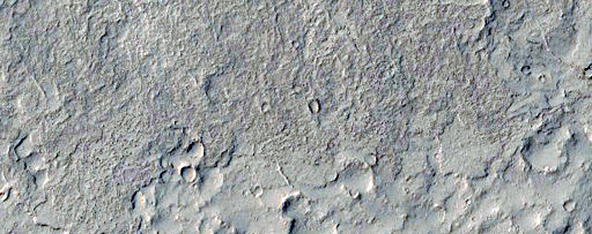 Vents and Flows in Elysium Planitia Flood Lava
