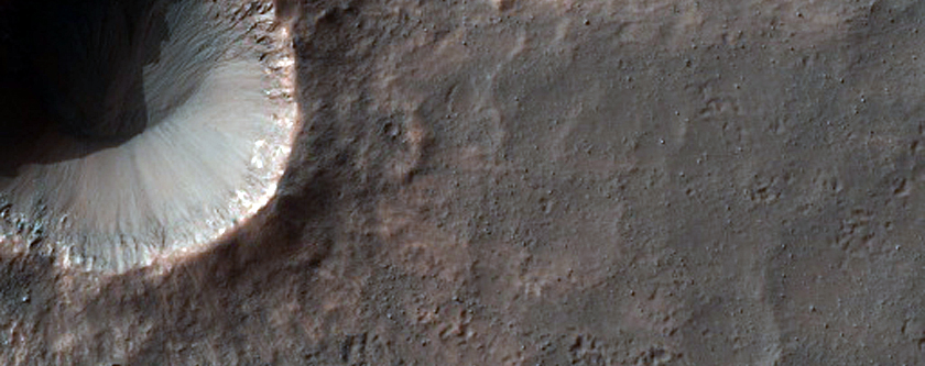 Small Fresh Crater
