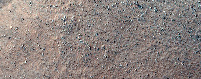 Gullies in Western Nereidum Montes
