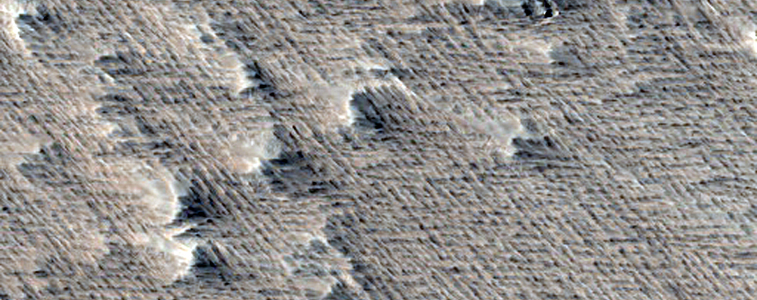 Flow Lobe Margin with Ridged Texture in Northern Daedalia Planum
