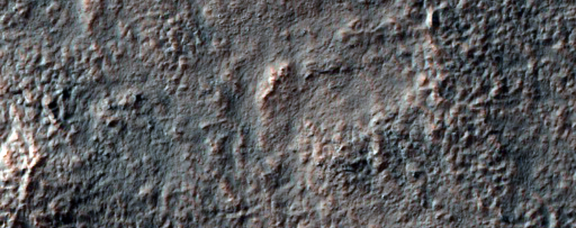Valley Networks on Rim of Newton Crater
