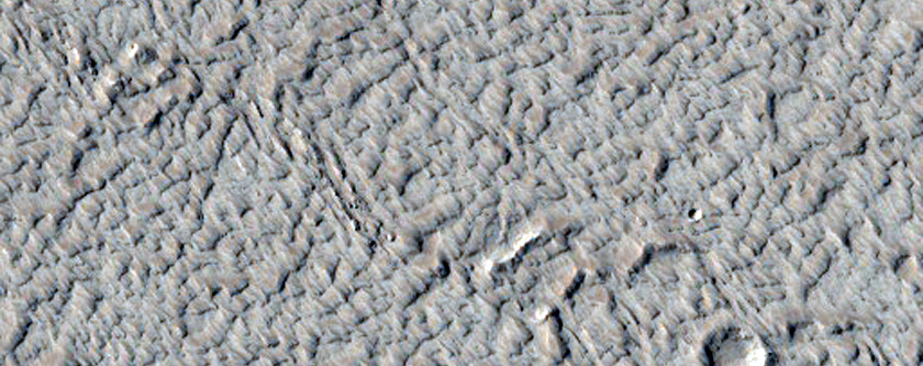 Sample of the Floor of Echus Chasma
