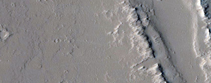 Double or Elongated Shield Volcano Near Ceraunius Fossae
