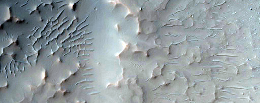 Fading Rayed Crater in Daedalia Planum
