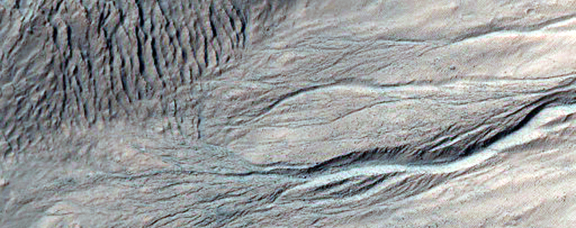 Gully Monitoring

