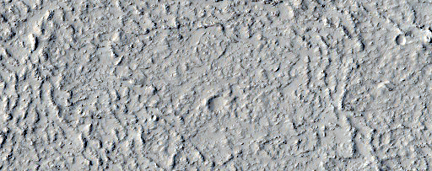 Elysium Planitia Platy Ridged Lava Channels
