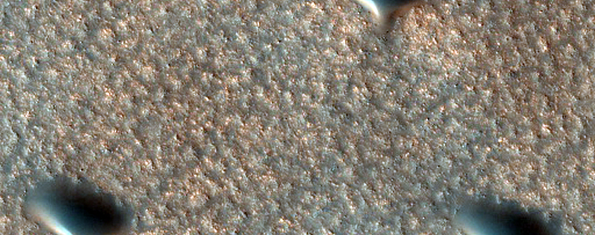Sample Diverse Terrains in Vastitas Borealis
