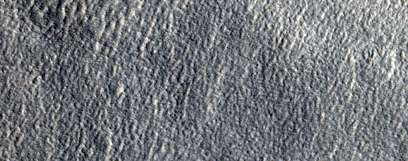 Sample Northern Utopia Planitia
