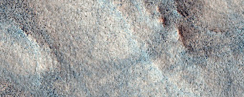 Sample Diverse Terrain in Utopia Planitia
