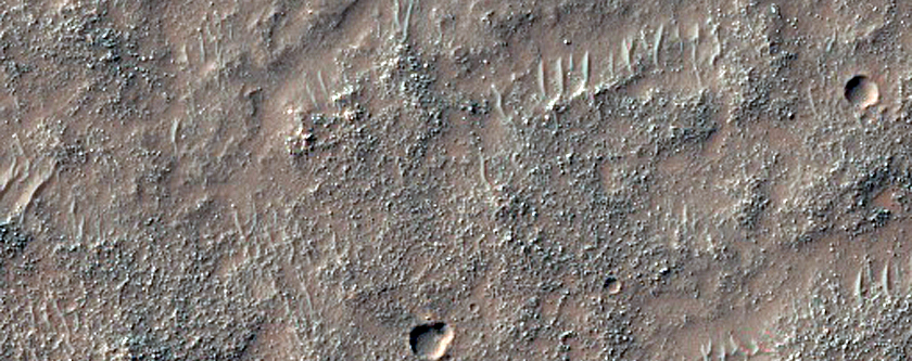 Possible Chloride-Rich Terrain
