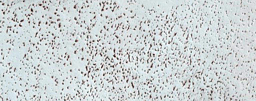Sample Diverse Terrains in Vastitas Borealis
