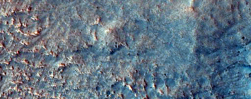 Southwestern Acidalia Planitia

