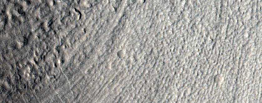 Gullies
