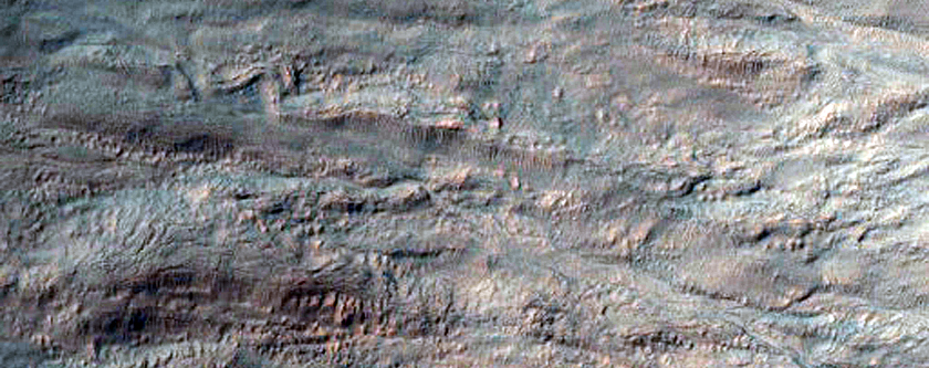 Gully Monitoring in Palikir Crater
