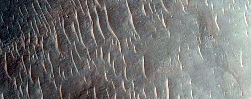 Layered Bedrock Exposed on Crater Floor
