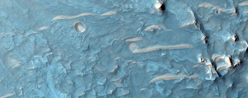 Alluvial Fan with Well-Preserved Channels and Lobes
