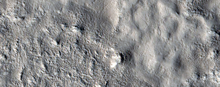 Sample Utopia Planitia

