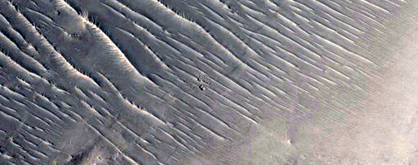 Meanders in Huo Hsing Vallis
