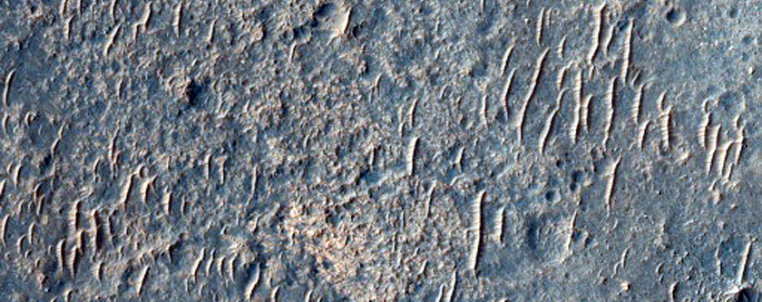 Layered Flow Ejecta
