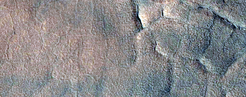 Gully Monitoring
