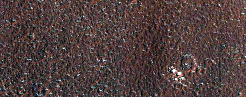 Middle Latitude Terrain
