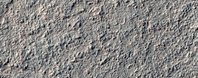 Rocky Ground
