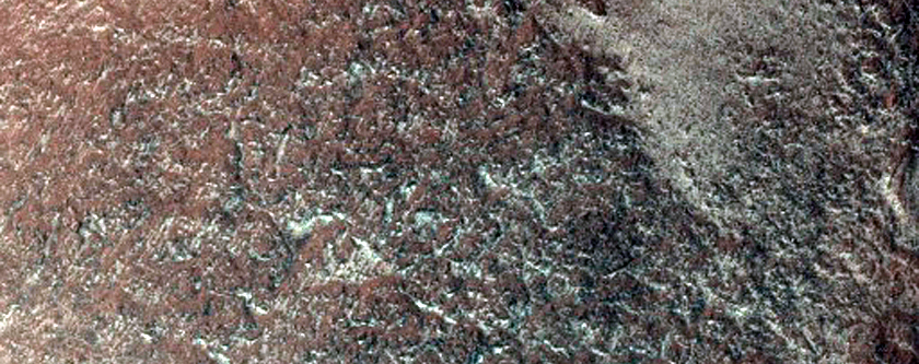 Gullies in Argyre Planitia
